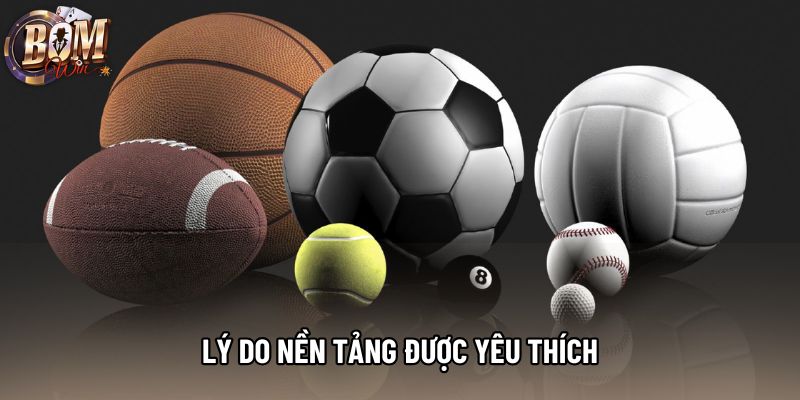 Lý do nền tảng được yêu thích Lý do nền tảng được yêu thích